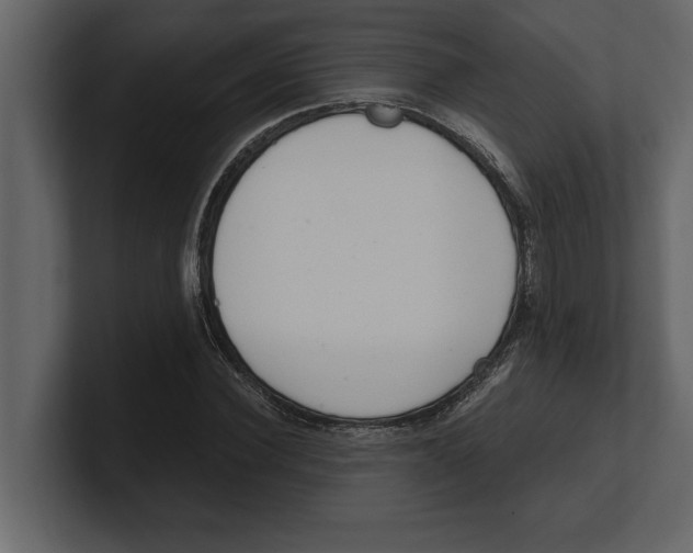 X0000100960924200807151355