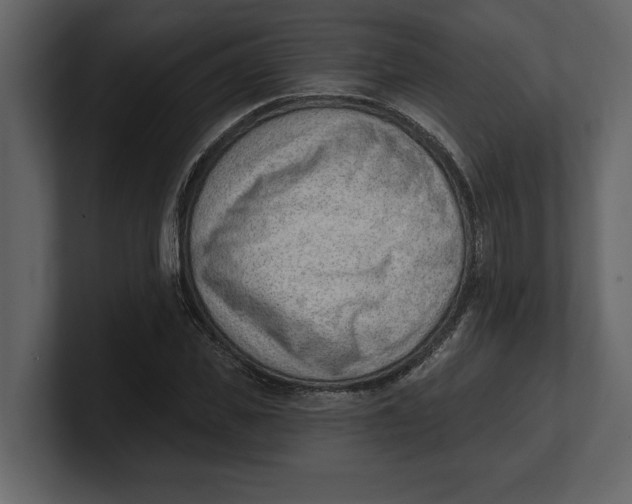 X0000100960925200807151355