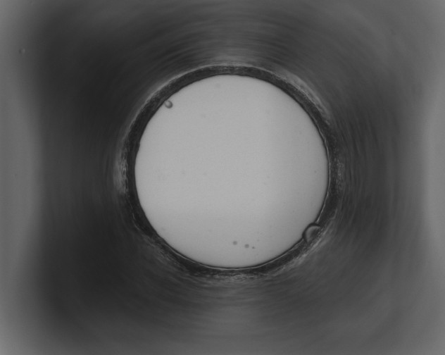 X0000100960926200807151355