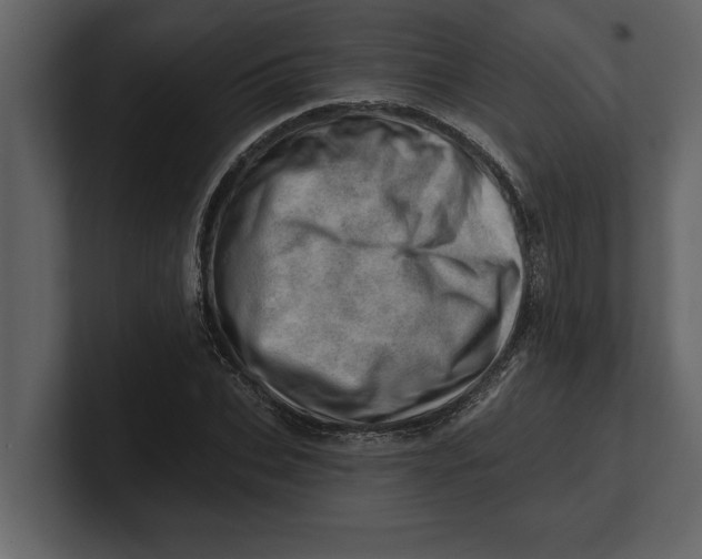 X0000100960927200807151355