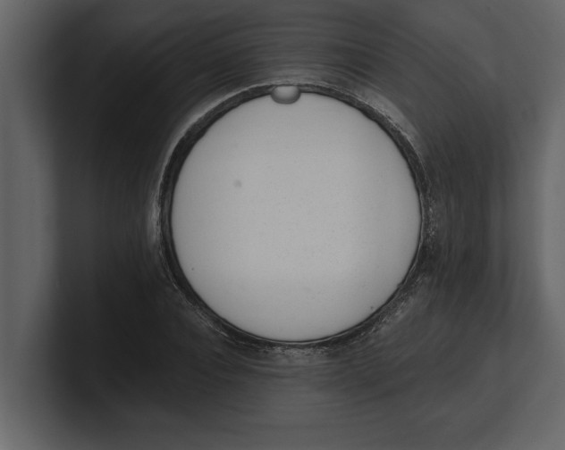 X0000100960928200807151355