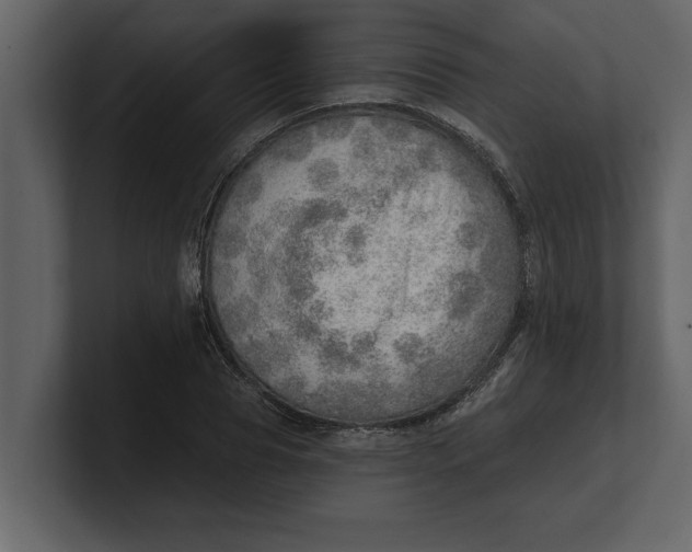 X0000100960929200807151355