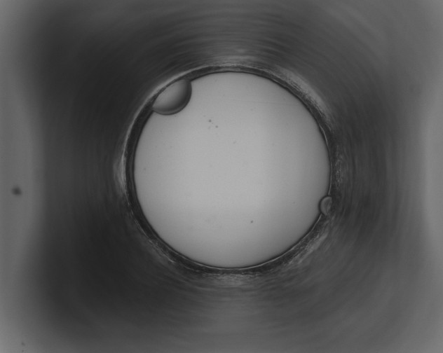 X0000100960932200807151355