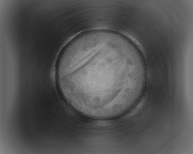 X0000100960933200807151355