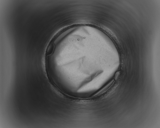 X0000100960942200807151355