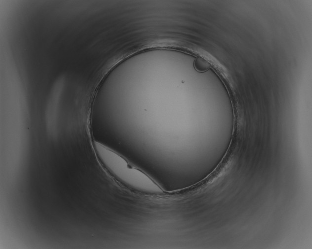 X0000100960945200807151355