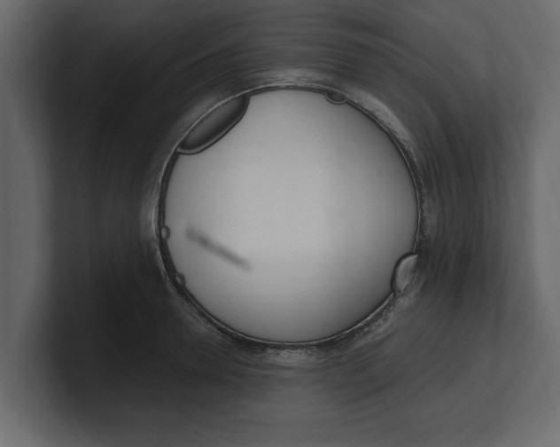 X0000100960946200807151355