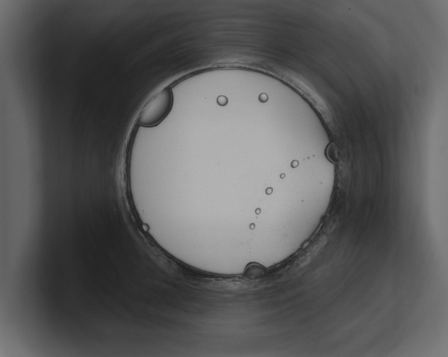 X0000100960948200807151355