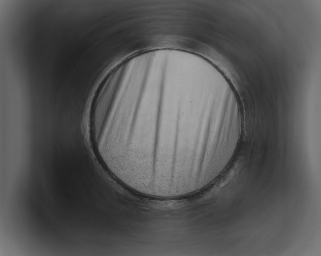 X0000100960949200807151355