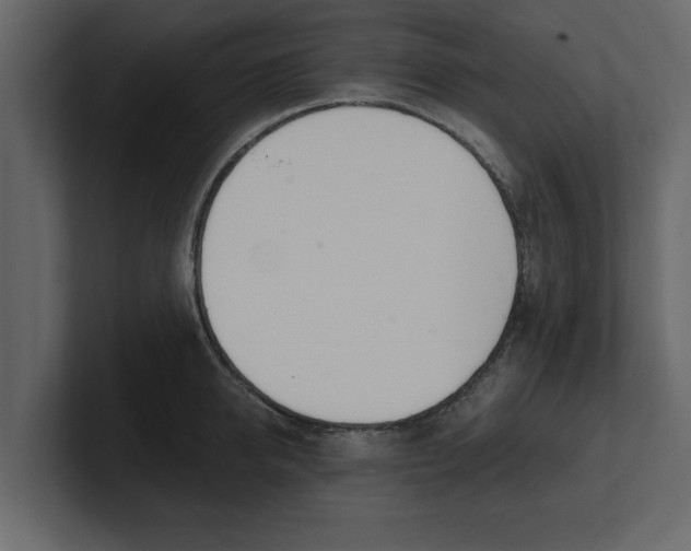 X0000100960950200807151355