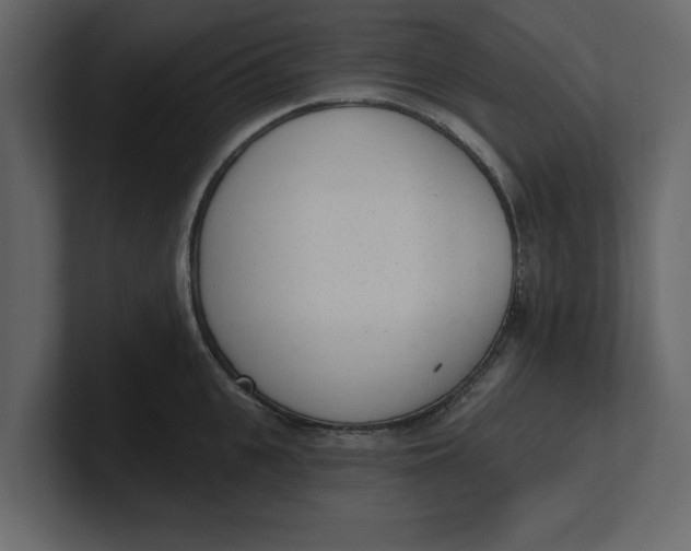 X0000100960951200807151355