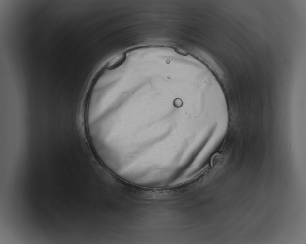 X0000100960952200807151355