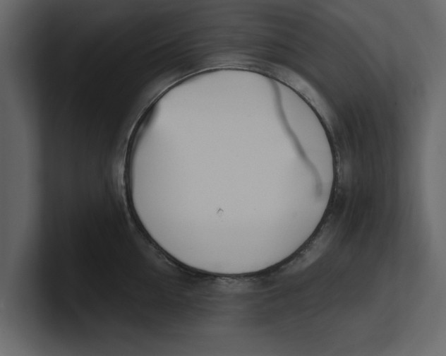 X0000100960954200807151355