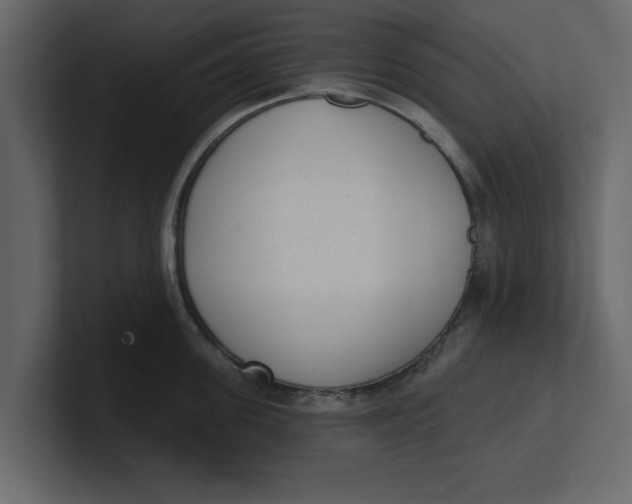 X0000100960955200807151355