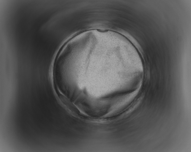 X0000100960957200807151355