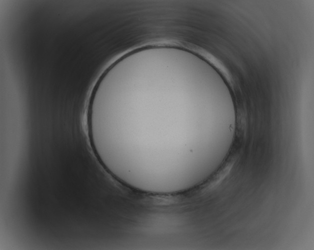 X0000100960959200807151355