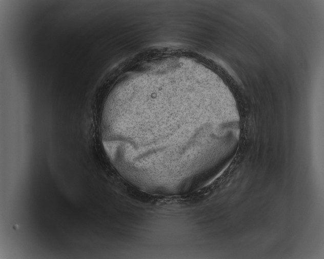 X0000100960967200807151355