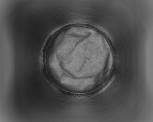 X0000100960974200807151354