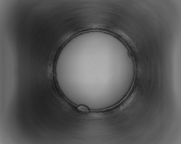 X0000100960977200807151354