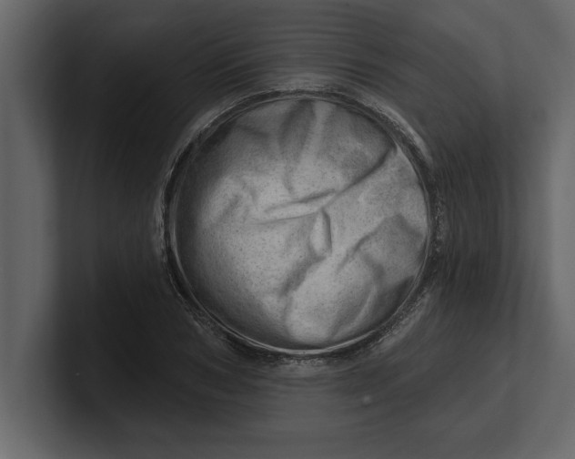 X0000100960978200807151354