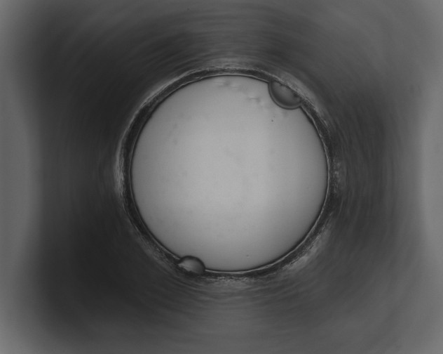 X0000100960981200807151354