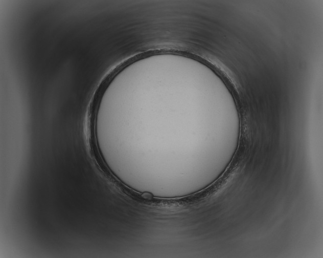 X0000100960983200807151354