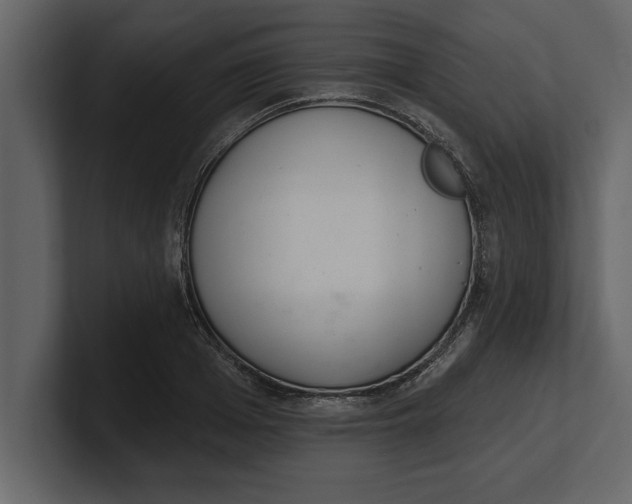 X0000100960985200807151354