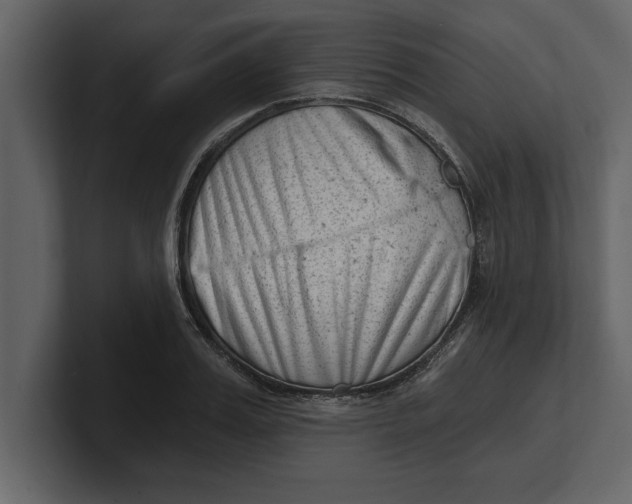 X0000100960987200807151354