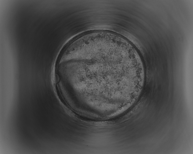 X0000100960988200807151354