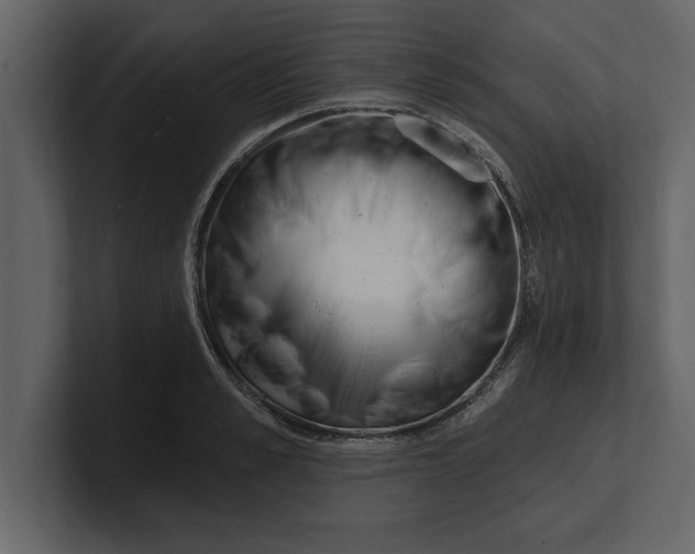 X0000100960989200807151354