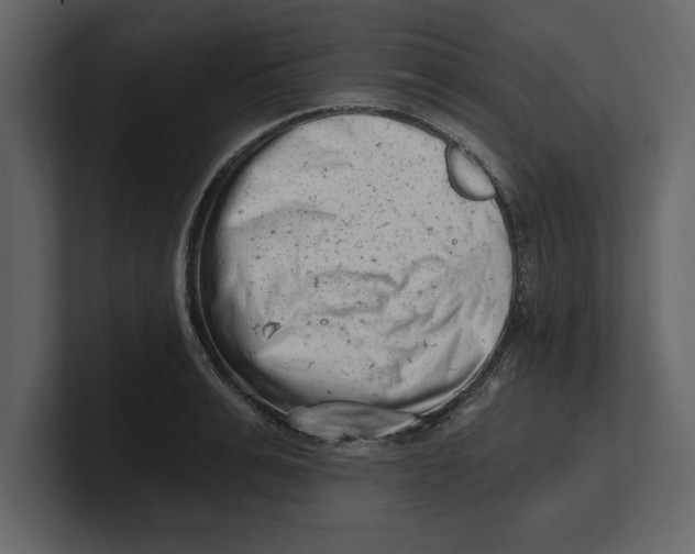 X0000100960991200807151354