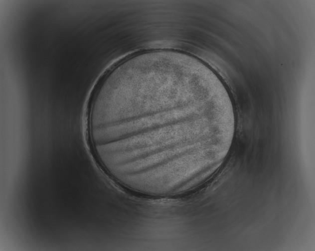 X0000100960992200807151354