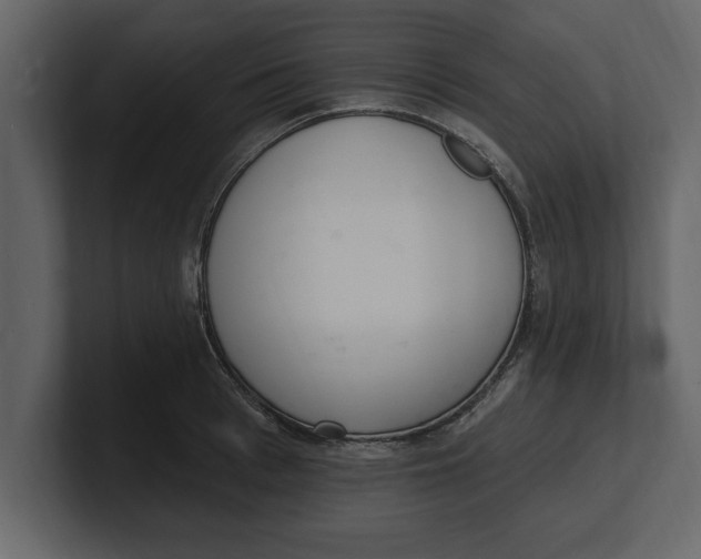 X0000100960993200807151354