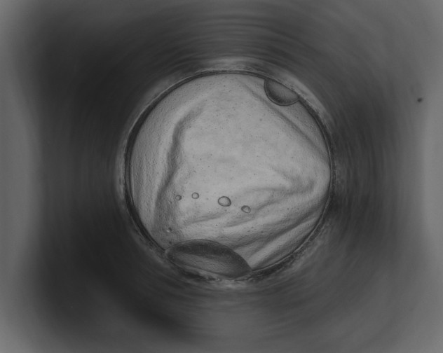 X0000100960994200807151354