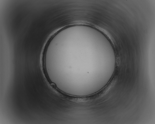 X0000100960995200807151354