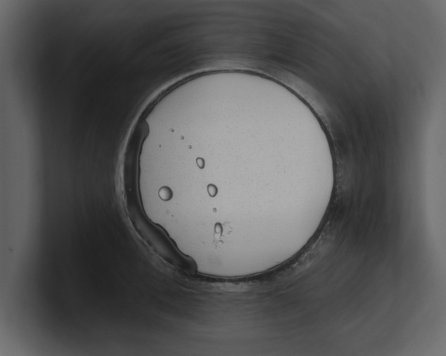 X0000100960996200807151354