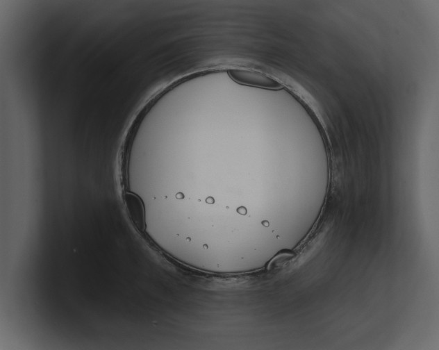 X0000100960997200807151354