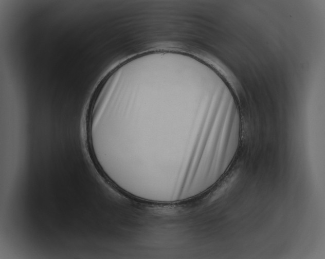 X0000100960999200807151354