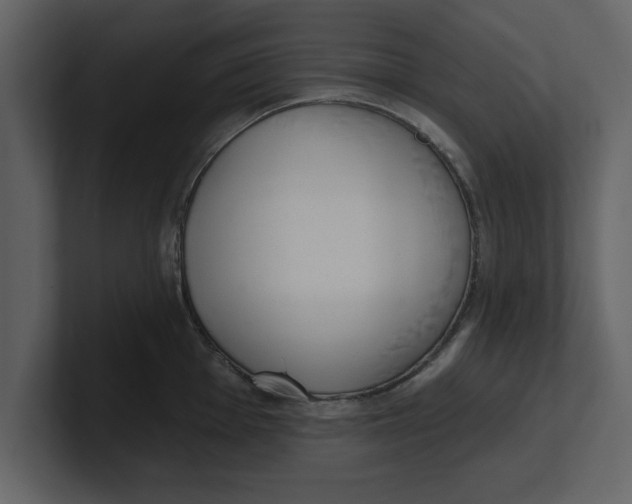 X0000100961001200807151354