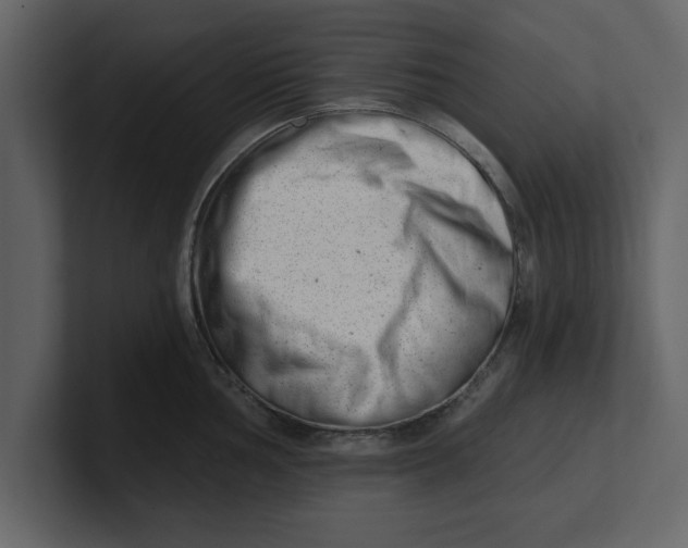 X0000100961002200807151354