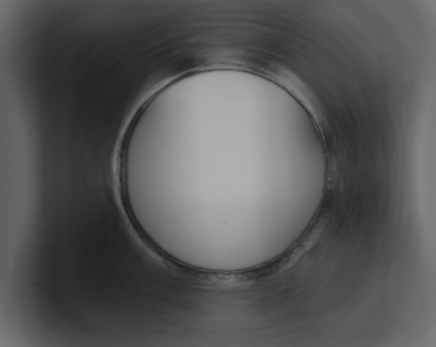 X0000100961003200807151354