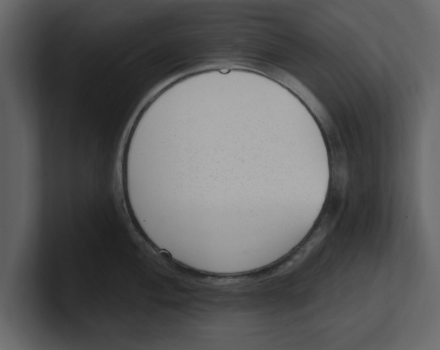 X0000100961004200807151354