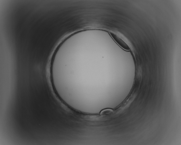 X0000100961005200807151354