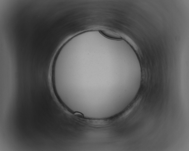 X0000100961007200807151354