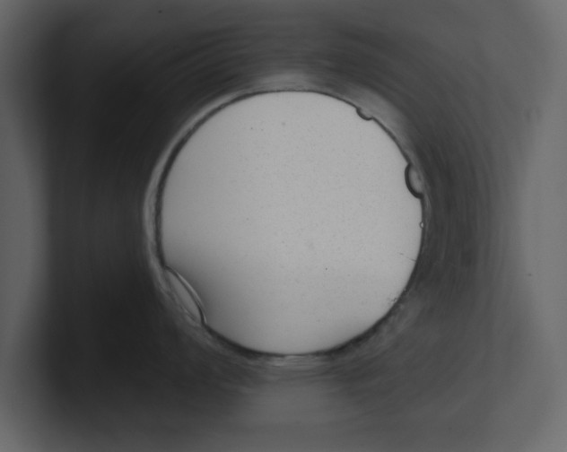 X0000100961008200807151354