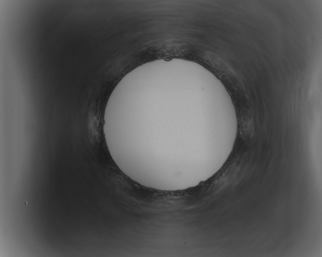 X0000100961010200807151353