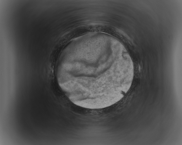 X0000100961013200807151353