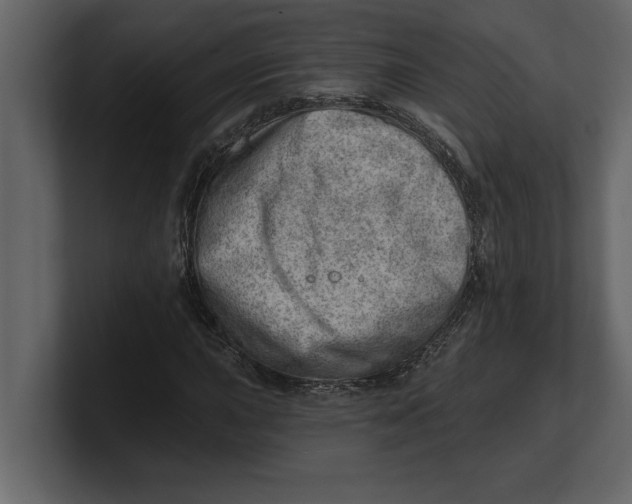 X0000100961015200807151353