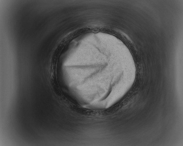 X0000100961016200807151353