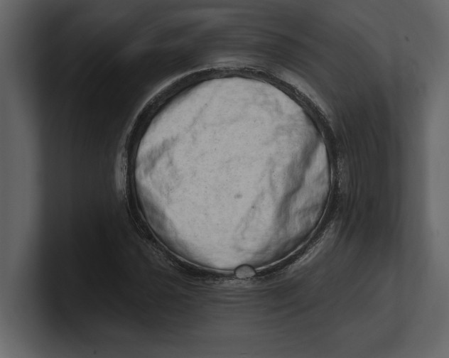 X0000100961021200807151353